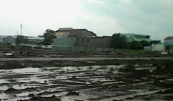 Bạc Liêu: Doanh nghiệp bị “lật kèo”