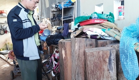 Lâm Đồng: Phát hiện gỗ quý hiếm trong nhà trưởng ban lý rừng