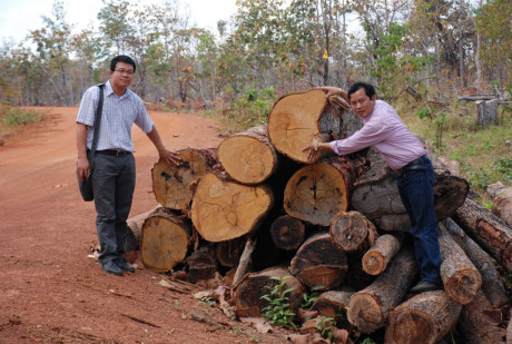 Đăk Lắk: Ph&aacute; n&aacute;t rừng Ea S&uacute;p