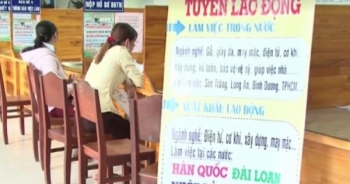 Hơn 100 nông dân bị lừa đảo xuất khẩu lao động sang Mỹ