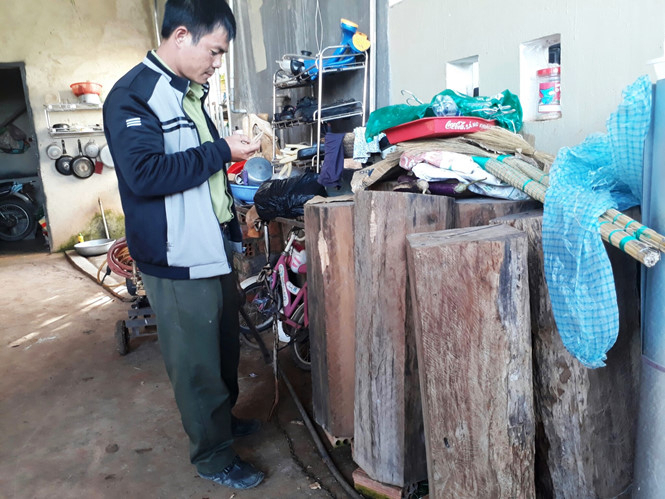 Số gỗ qu&yacute; tại nh&agrave; &ocirc;ng Nguyễn Văn Nhẫn.