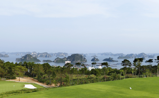 &nbsp;Quang cảnh Vịnh Hạ Long