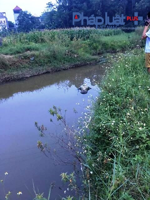 Nạn nh&acirc;n c&oacute; tiền sử b&ecirc;nh thần kinh v&agrave; hay đi lang thang (ảnh: Đ&agrave;o Tấn)