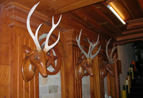 Lối l&ecirc;n cầu thang được trang tr&iacute; bằng những đầu hươu gỗ qu&yacute; gi&aacute;. Ảnh: Internet.