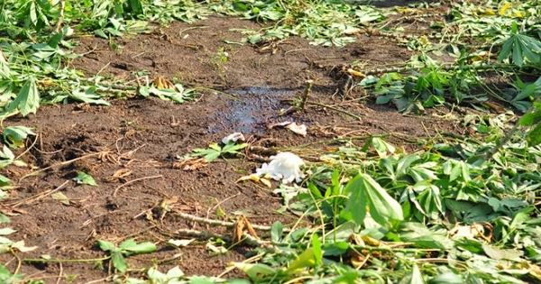 Nghi can bắn nữ sinh bỏ súng vào túi quần, bình thản rời hiện trường