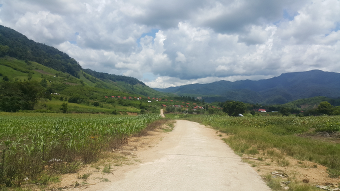 Dự &aacute;n giảm ngh&egrave;o T&acirc;y Nguy&ecirc;n- tỉnh Gia Lai đ&atilde; ph&aacute;t hiện nhiều sai phạm l&ecirc;n tới hơn 1 tỉ đồng