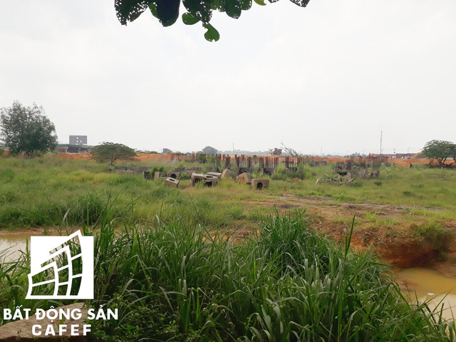 Phần lớn đất trong khu&ocirc;n vi&ecirc;n dự &aacute;n l&agrave; ao t&ugrave; v&agrave; cỏ dại vẫn chưa được san lắp mặt bằng.