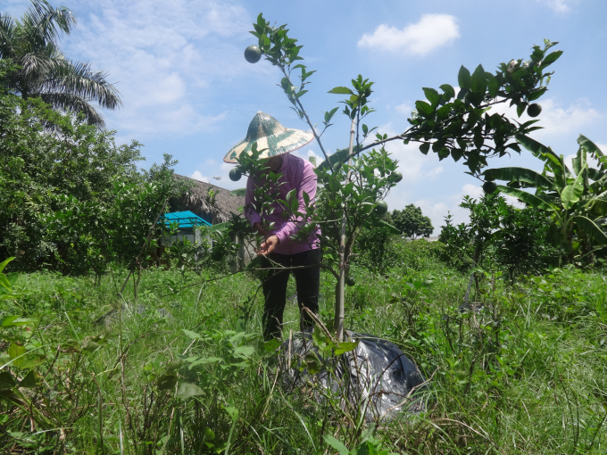 Sau nhiều lần thuyết phục H&agrave; Anh đ&atilde; nhận được sự ủng hộ rất lớn từ gia đ&igrave;nh.&nbsp;