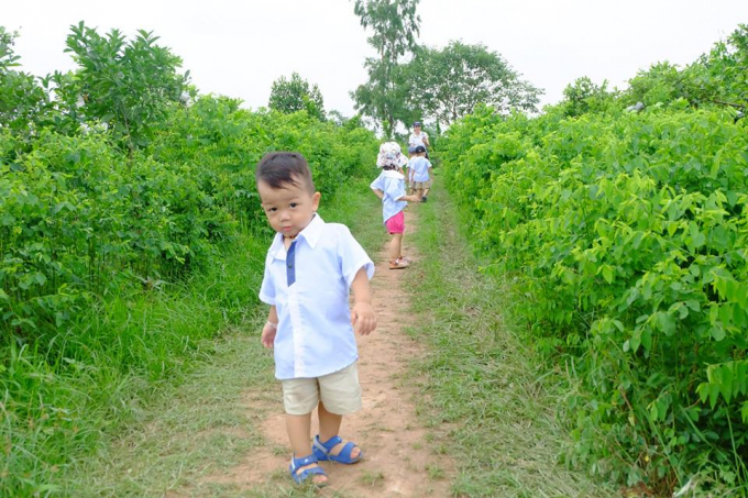 Trang trại đ&atilde; đ&oacute;n kh&ocirc;ng &iacute;t những bạn nhỏ về đ&acirc;y kh&aacute;m ph&aacute; thi&ecirc;n nhi&ecirc;n.