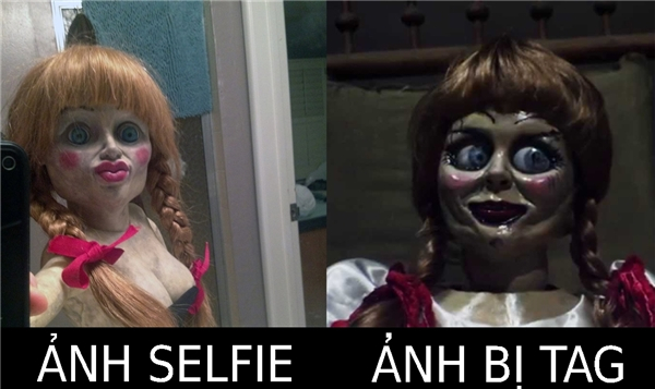 Những bức ảnh chế Beo khiến nhiều người dở kh&oacute;c dở cười.