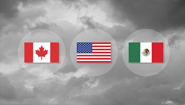 Ảnh:&nbsp;Shutterstock&nbsp;