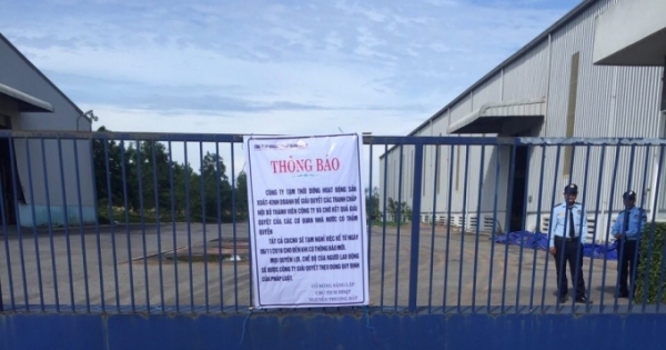 Tranh chấp ở Công ty khoáng sản đất Quảng Chu Lai: Nguyên Chủ tịch HĐQT cáo bệnh, tòa tiếp tục hoãn xử