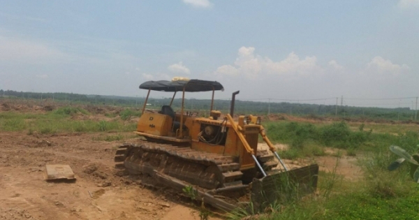 Kỳ 5 - Đồng Nai: Cơ quan điều tra vào cuộc vụ chặt hạ hơn 10 ha tràm của dân trong đêm