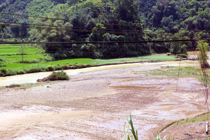 Nhiều diện t&iacute;ch hoa m&agrave;u của b&agrave; con bị ảnh hưởng do mưa b&atilde;o.