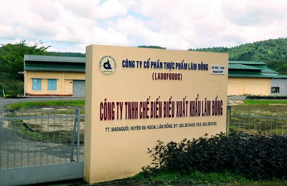 C&ocirc;ng ty Tinh chế biến điều xuất khẩu L&acirc;m Đồng.