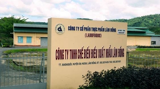 Lâm Đồng: Điều tra vụ đột nhập công ty phá két sắt lấy trộm hàng trăm triệu đồng