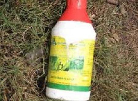 Sau khi s&aacute;t hại con trai người mẹ đ&atilde; uống thuốc lạ tự vẫn (ảnh minh họa).