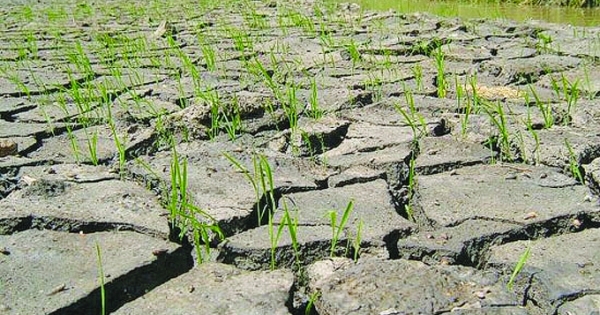 Lũ lụt, hạn hán và hành động của chúng ta