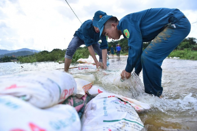 Lực lượng d&acirc;n qu&acirc;n gia cố tuyến đ&ecirc; tại x&atilde; Đ&ocirc;ng Y&ecirc;n, Quốc Oai (H&agrave; Nội) ph&ograve;ng vỡ đ&ecirc;. Ảnh: HẢI NGUYỄN