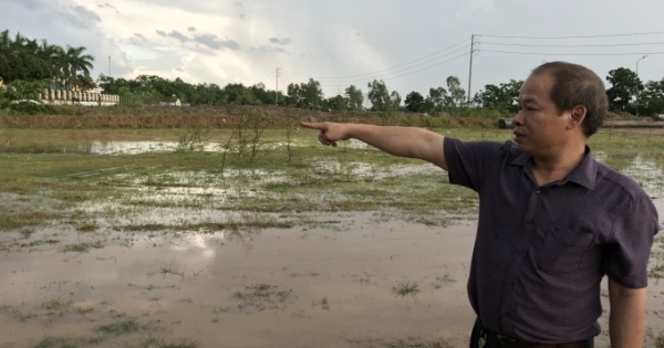 Vụ dân khởi kiện UBND tỉnh Nghệ An: Hủy các Quyết định liên quan nhưng lại “quên” quyền lợi của dân