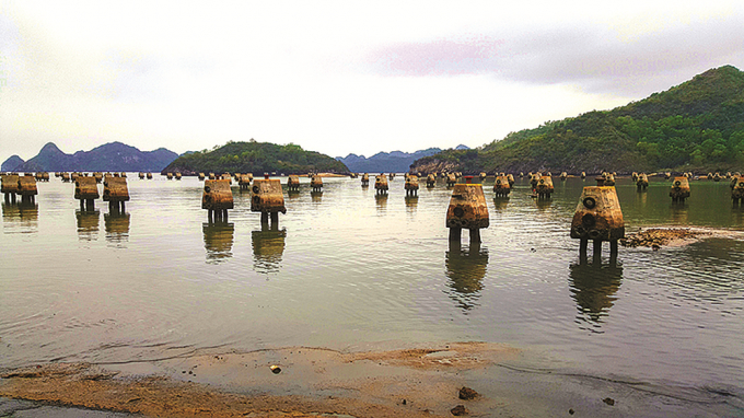 Khu neo đậu tr&aacute;nh tr&uacute; b&atilde;o cho t&agrave;u c&aacute; C&aacute;t B&agrave;