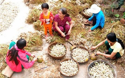 H&agrave;ng triệu kh&aacute;ch h&agrave;ng được thụ hưởng tối đa &iacute;ch lợi&nbsp;từ c&aacute;c chương tr&igrave;nh t&iacute;n dụng ch&iacute;nh s&aacute;ch Agribank đang triển khai