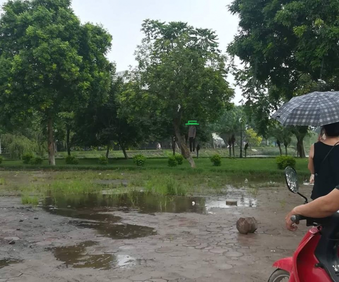 Người đ&agrave;n &ocirc;ng treo cổ tr&ecirc;n c&acirc;y b&ecirc;n hồ Đền Lừ.