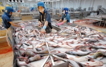 Nhiều doanh nghiệp báo lỗ trăm tỷ