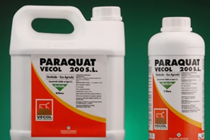 Ngộ độc thuốc diệt cỏ paraquat: Những c&aacute;i chết &aacute;m ảnh
