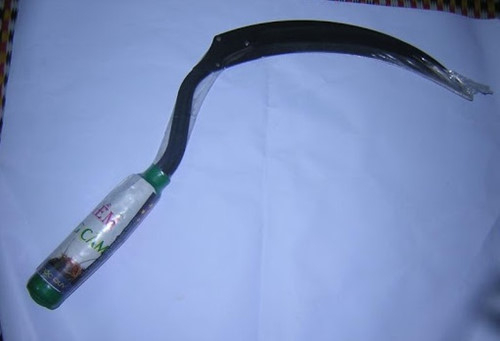 H&igrave;nh minh họa. (Ảnh: b&aacute;o Kiến thức)