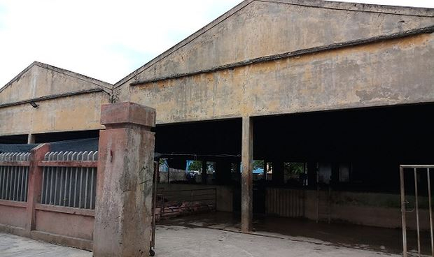 L&ograve; mổ gia s&uacute;c tại phường Ph&uacute; C&aacute;t tồn tại đ&atilde; hơn 20 năm nay, g&acirc;y ảnh hưởng lớn đến cuộc sống của nhiều hộ d&acirc;n tr&ecirc;n địa b&agrave;n.