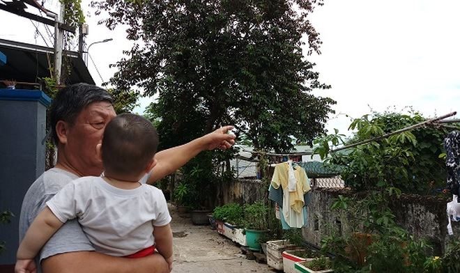 &Ocirc;ng Phạm Văn Hữu (66 tuổi, đường Nguyễn Gia Thiều, phường Ph&uacute; Hậu) bức x&uacute;c v&igrave; m&ugrave;i h&ocirc;i thối bốc ra từ l&ograve; mổ.