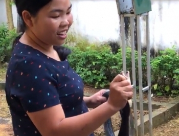Cộng đồng mạng thán phục cô giáo mầm non tay không bắt rắn hổ mang trong vườn trường