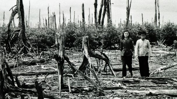 Hai b&eacute; g&aacute;i đang đi qua khu rừng đước bị chất độc da cam hủy hoại. Ảnh: VAVA