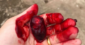 Cư dân mạng "tròn mắt" với trò đùa kinh dị của cô vợ khiến chồng ngất lịm