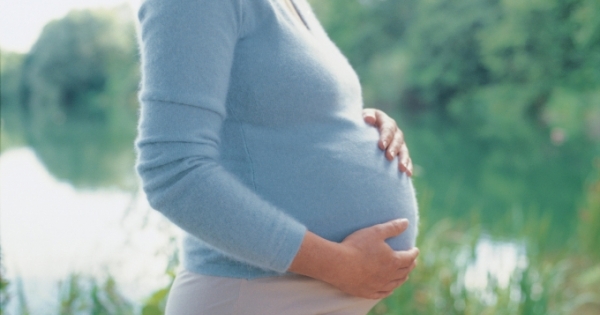 Bán con khi vẫn còn là... bào thai