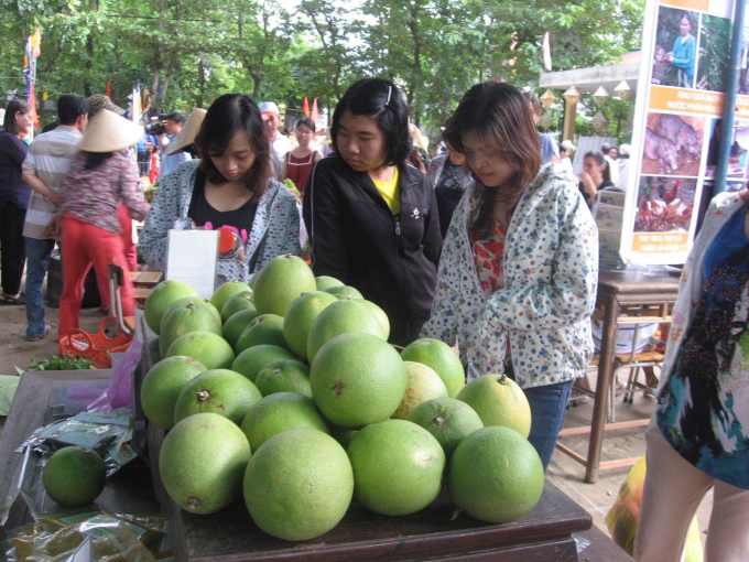 L&agrave; cơ hội để địa phương t&ocirc;n vinh, quảng b&aacute; h&igrave;nh ảnh quả &ldquo;Thanh tr&agrave; Huế&rdquo;, h&igrave;nh ảnh địa phương đến với du kh&aacute;ch.