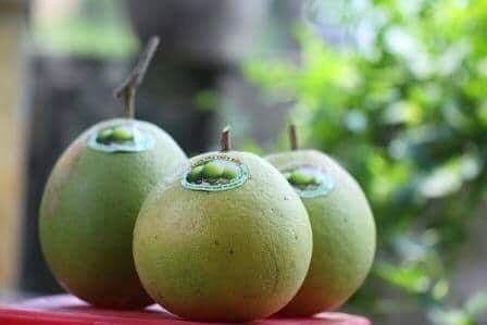 Với chủ đề năm nay l&agrave;: &ldquo;Thanh tr&agrave; - hương vị xứ Huế&rdquo;