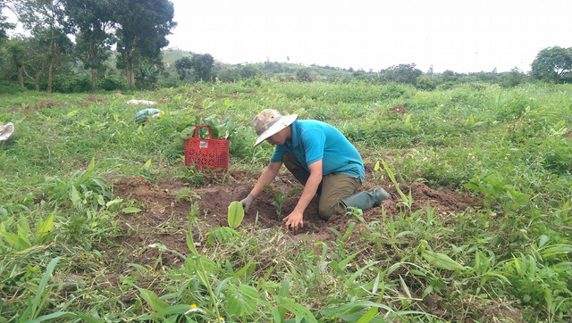 Thầy V&otilde; Văn Tuấn l&agrave;m nương rẫy để mưu sinh.