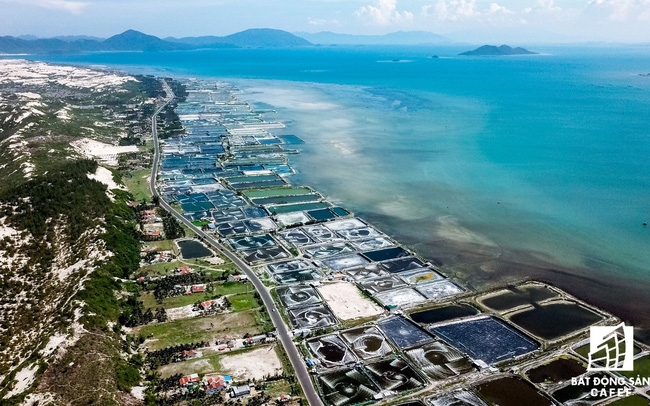 B&agrave; Rịa-Vũng T&agrave;u: Y&ecirc;u cầu dừng ngay việc ph&acirc;n l&ocirc;, b&aacute;n đất nền tr&ecirc;n ruộng muối