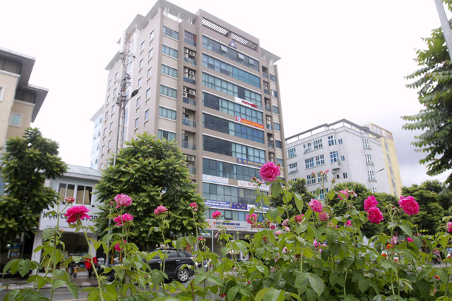 Người d&acirc;n cho biết, những kh&oacute;m hoa hồng n&agrave;y mới được trồng thời gian gần đ&acirc;y v&agrave; mới chỉ ở một b&ecirc;n phần đường.