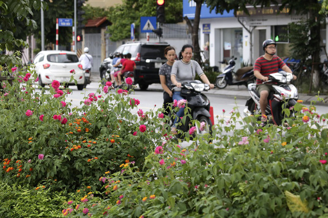 Tuyến phố L&ecirc; Trọng Tấn được mở rộng từ năm 2016 v&agrave; được coi l&agrave; tuyến đường kiểu mẫu của thủ đ&ocirc; H&agrave; Nội.