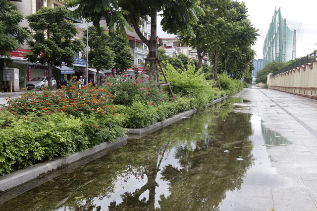 Đ&acirc;y l&agrave; con đường với nhiều c&acirc;y xanh được trồng mới, trong đ&oacute; c&oacute; rất nhiều loại c&acirc;y hoa được trồng ven đường.