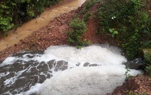 Người dân phản ánh Công ty chăn nuôi lợn gây ô nhiễm, Chủ tịch tỉnh Bắc Giang phạt nặng doanh nghiệp