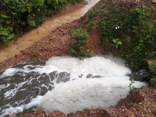 &nbsp;Nước thải chăn nu&ocirc;i từ c&ocirc;ng ty chảy thẳng ra đường giao th&ocirc;ng v&agrave; k&ecirc;nh mương. Ảnh Đặng Giang
