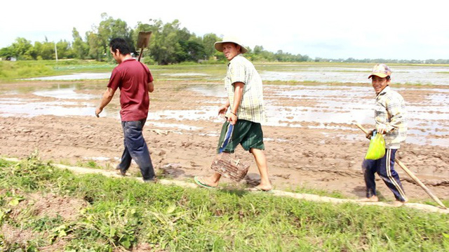 L&uacute;a tr&ecirc;n những c&aacute;nh đồng thu hoạch xong sẽ b&aacute;o hiệu m&ugrave;a săn chuột đồng bắt đầu nhộn nhịp hẳn l&ecirc;n.