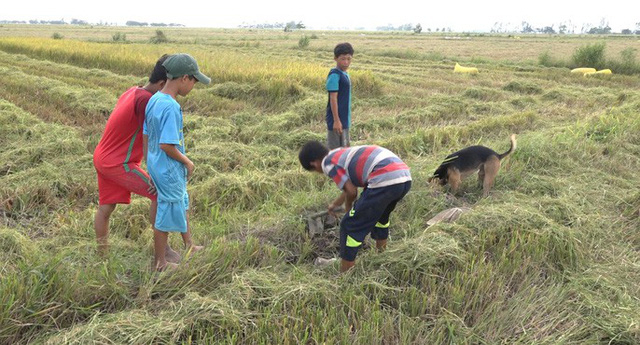 Từ người lớn đến trẻ em cũng trở th&agrave;nh