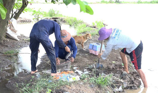 Mỗi buổi, một người săn chuột đồng chịu si&ecirc;ng năng c&oacute; thể bắt được từ 3 - 5 kg chuột, c&oacute; th&ecirc;m thu nhập từ v&agrave;i trăm ng&agrave;n đồng.