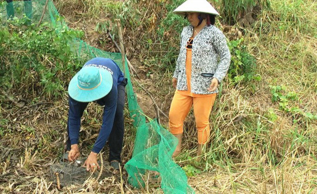 Săn chuột đồng nghề