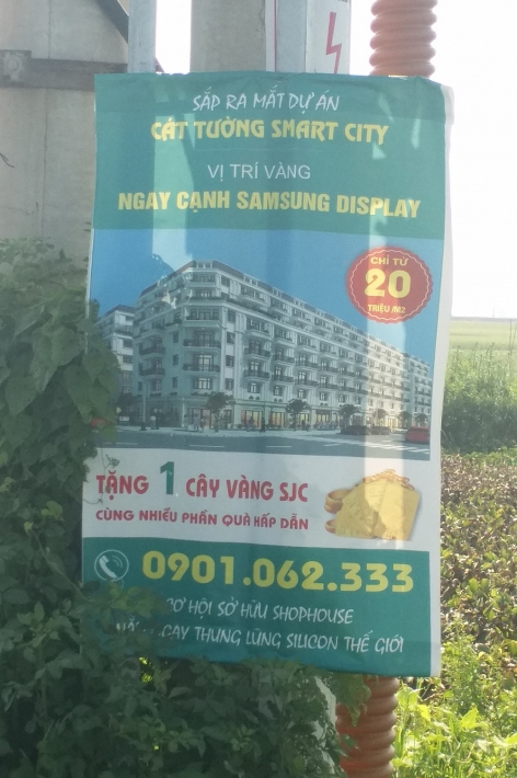 Th&ocirc;ng tin quảng c&aacute;o về dự &aacute;n C&aacute;t Tường Smart City.